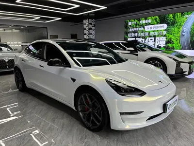 Tesla Model 3 2021, 44000 км, за 22513.94 USD