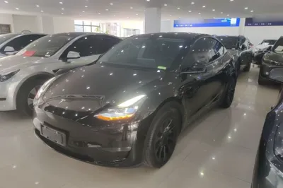 Tesla Model Y · 2021 год