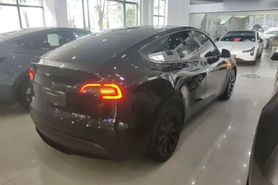 Tesla Model Y 2021, 86600 км, за 23187 USD - фото 6