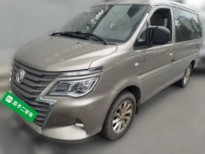 Forthing Lingzhi · 2020 год