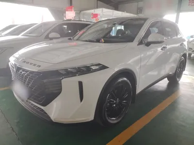 Venucia V · 2024 год
