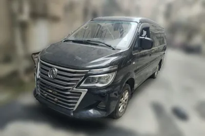 Forthing Lingzhi · 2019 год
