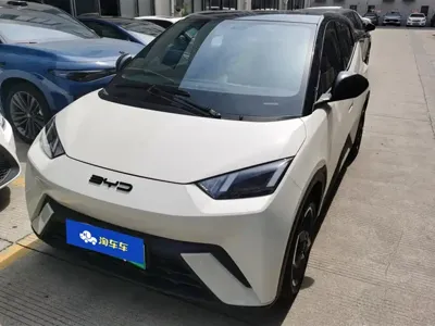 BYD Seagull · 2024 год