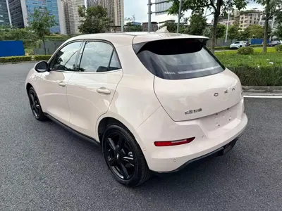 ORA Ora Good Cat 2024, 14000 км, за 11775.22 USD