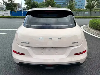 ORA Ora Good Cat 2024, 14000 км, за 11775.22 USD