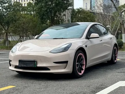 Tesla Model 3 · 2022 год