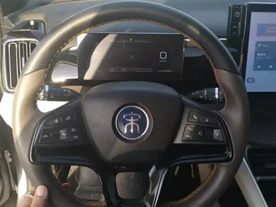 BYD Pro New Energy 2023, 63500 км, за 10240.31 USD - фото 15