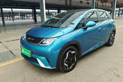 BYD Dolphin · 2021 год