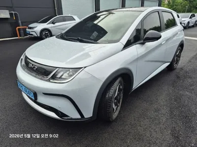 BYD Dolphin · 2026 год