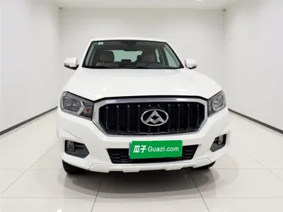 大通 T60 2019, 31800 км, за 6617.37 USD