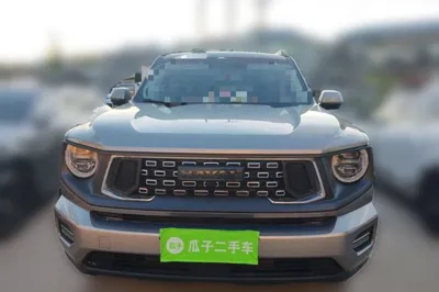 Haval H Dog 2023, 21600 км, за 14554 USD