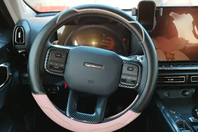 Haval H Dog 2023, 21600 км, за 14554 USD - фото 7