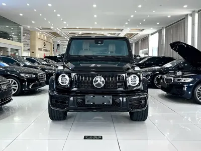 Mercedes-Benz G-Class 2021, 53000 км, за 219796.34 USD