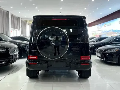 Mercedes-Benz G-Class 2021, 53000 км, за 219796.34 USD