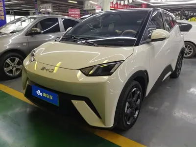 BYD Seagull · 2024 год