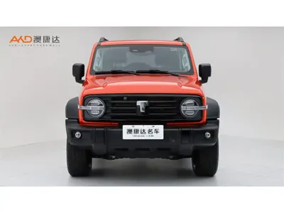 Tank Tank 300 2022, 51000 км, за 16674.18 USD