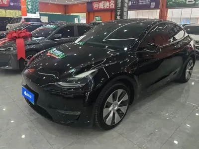 Tesla Model Y · 2021 год