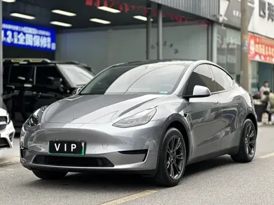 Tesla Model Y · 2024 год