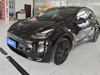 Tesla Model Y · 2023 год