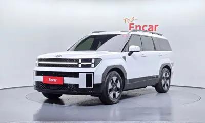 Hyundai Santafe · 2024 год