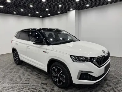 Skoda Kamiq · 2022 год