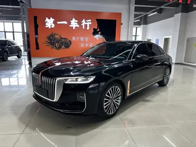 Hongqi Hongqi H9 · 2020 год