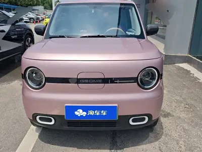 Galaxy Panda 2025, 16200 км, за 4255.07 USD