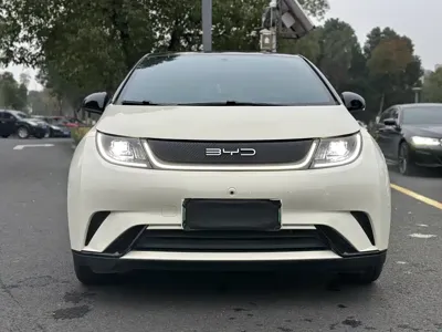 BYD Dolphin 2023, 8000 км, за 8401.84 USD