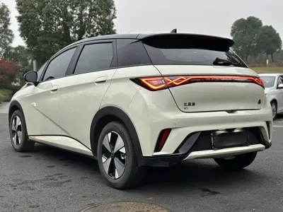BYD Dolphin 2023, 8000 км, за 8401.84 USD - фото 7