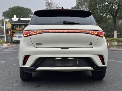 BYD Dolphin 2023, 8000 км, за 8401.84 USD - фото 8