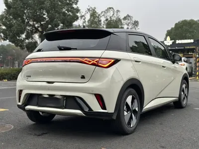 BYD Dolphin 2023, 8000 км, за 8401.84 USD - фото 9
