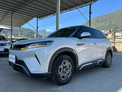BYD Yuan Up · 2024 год