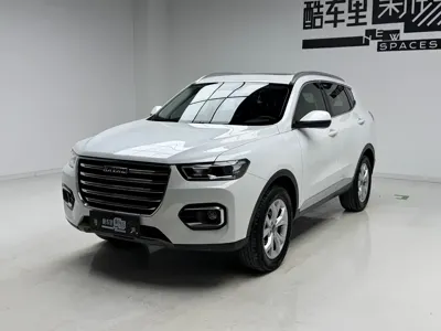 Haval H6 · 2020 год