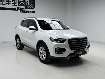 Haval H6 2020, 18300 км, за 6395.57 USD