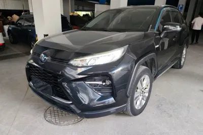 Toyota Wildlander · 2020 год