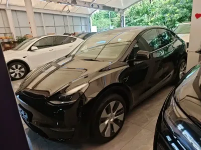Tesla Model Y · 2023 год