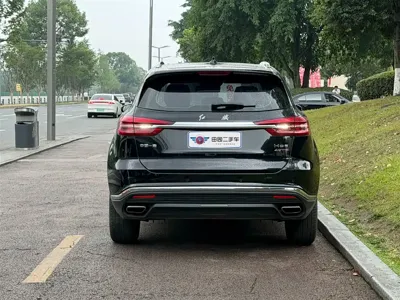 Hongqi Hongqi HS5 2023, 58000 км, за 12021.54 USD