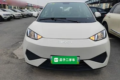 BYD Seagull 2025, 100 км, за 10519 USD