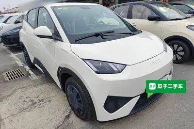 BYD Seagull 2025, 100 км, за 10519 USD