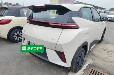 BYD Seagull 2025, 100 км, за 10519 USD - фото 6