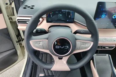 BYD Seagull 2025, 100 км, за 10519 USD - фото 13