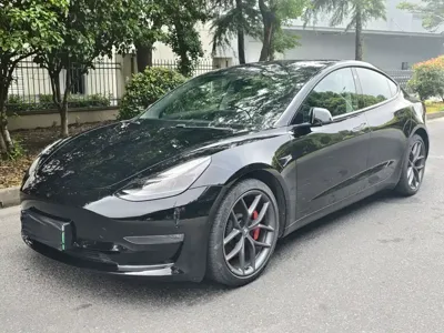 Tesla Model 3 · 2021 год