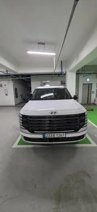 Hyundai Palisade · 2025 год