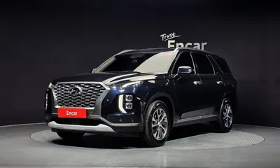 Hyundai Palisade · 2019 год