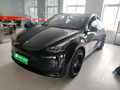 Tesla Model Y · 2023 год