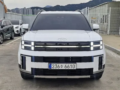 Hyundai Santafe · 2024 год
