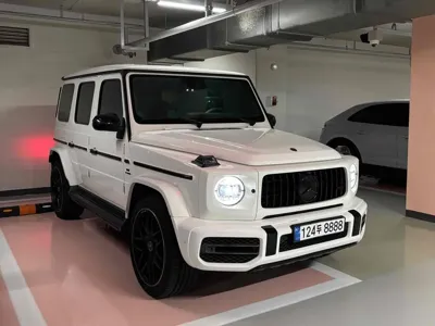Mercedes-Benz G-Class · 2020 год