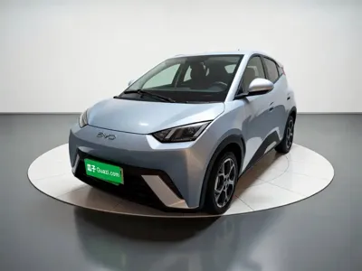 BYD Seagull · 2025 год