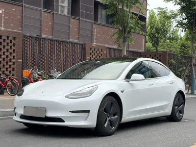 Tesla Model 3 · 2020 год