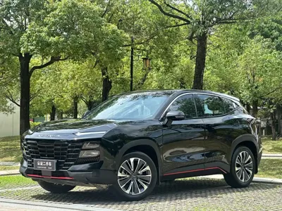 Jetour Dasheng · 2023 год